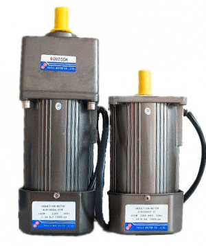 1.Reverse Gear Motors 180W