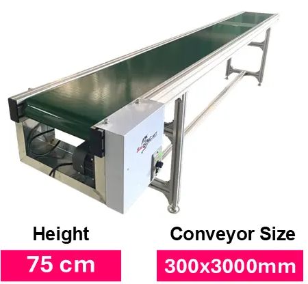 Conveyor300 3000 750mm