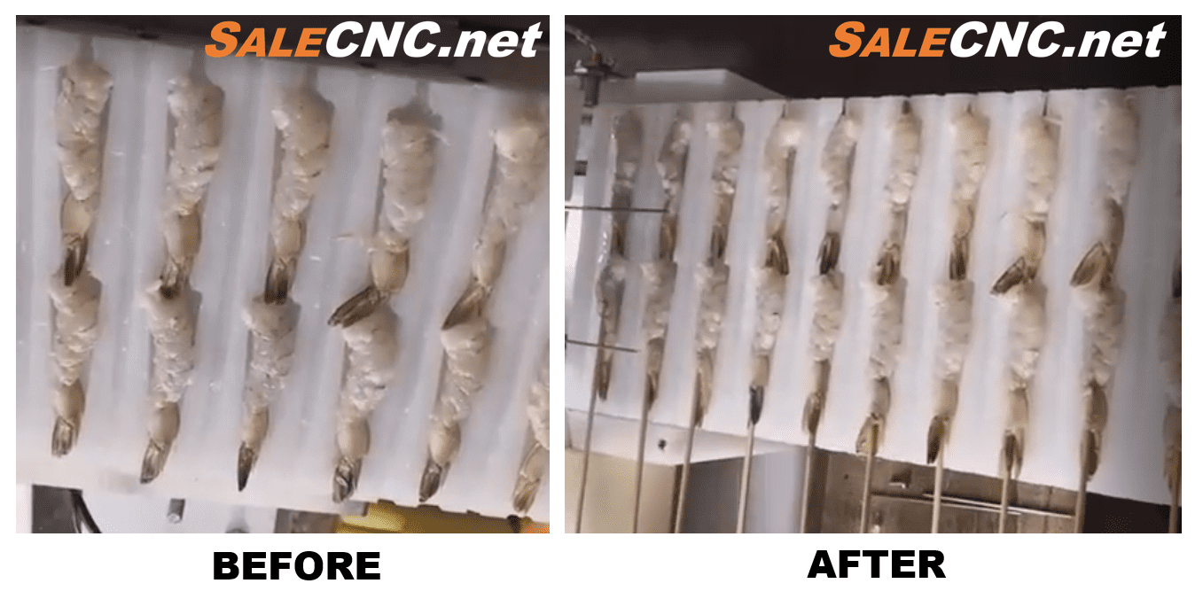 เสียบกุ้ง