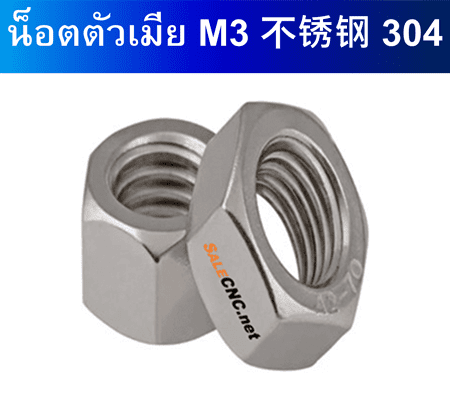 น็อตตัวเมีย M3 304 1