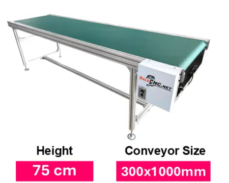 Conveyor 300 1000 750mm