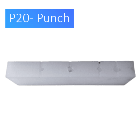 P20 Punch