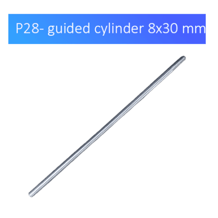 P28 guided cylinder
