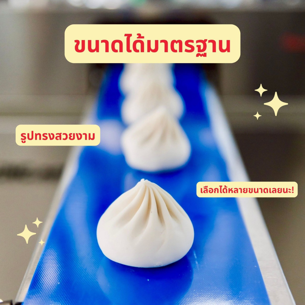 Automatic Salapao Machine XL - Industrial Bun Maker 18 LINE ALBUM เครื่องทำซาลาเปา 251126 12 0