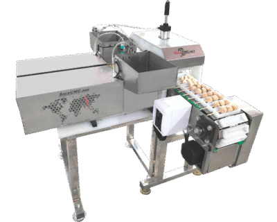 เครื่องแปรรูปอาหาร (Food Processing Machine) 22 เครื่องเสียบไม้อัตโนมัติแบบสายพาน Automatic Stick Machine