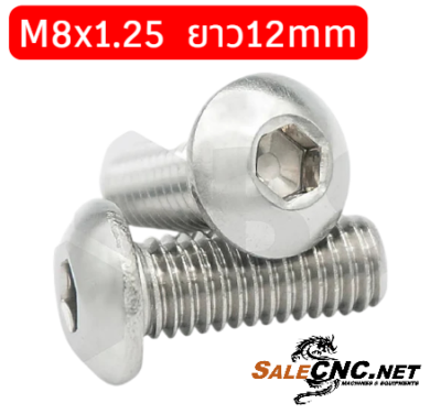 Stainless Steel Socket Head Cap Screw, M8x1.25 x 12mm