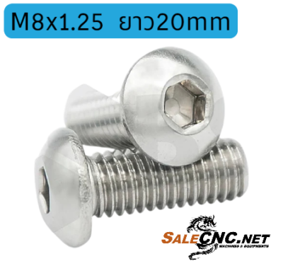Stainless Steel Socket Head Cap Screw, M8x1.25 x 20mm