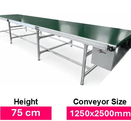 Conveyor 1250 5000mm