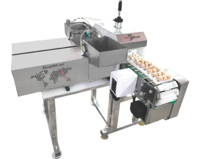 Food Processing Machine 22 เครื่องเสียบไม้อัตโนมัติแบบสายพาน Automatic Stick Machine